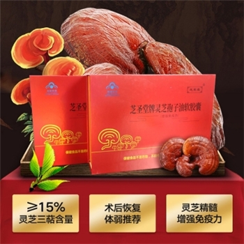 孢子油10瓶再赠送12瓶